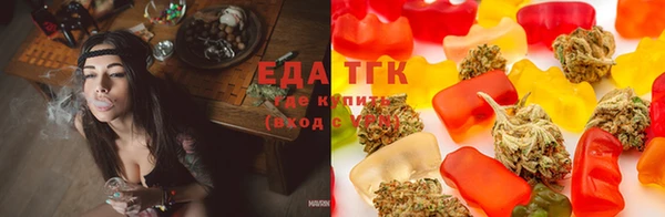 spice Заводоуковск