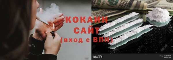 шишки Иннополис