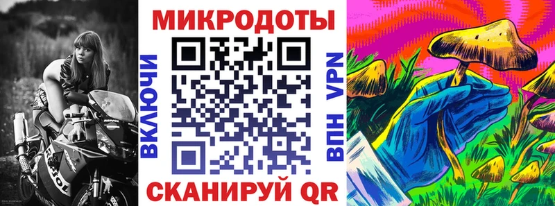 Галлюциногенные грибы Psilocybe  Купить  Кирсанов 